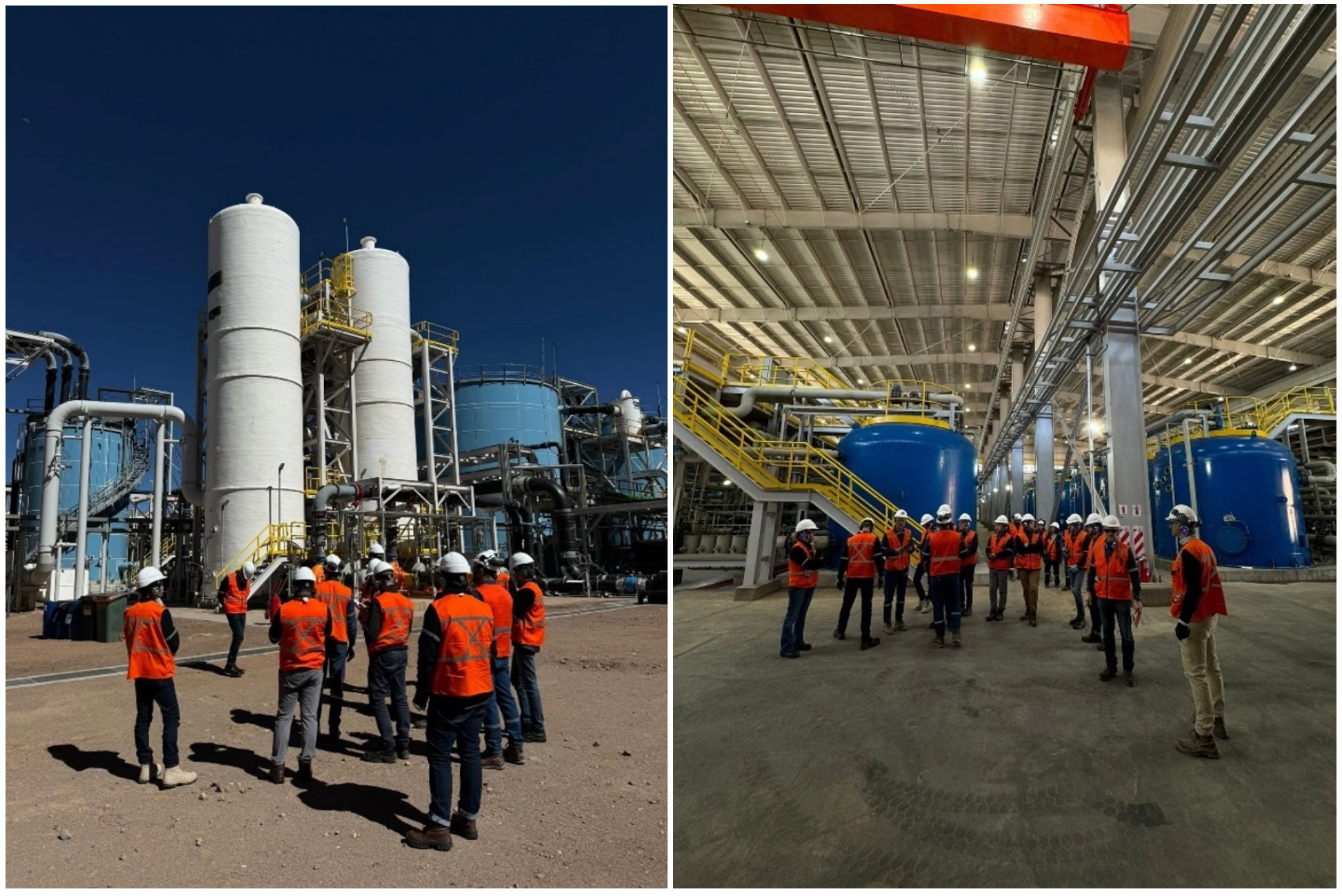 Centenario plant horizontal